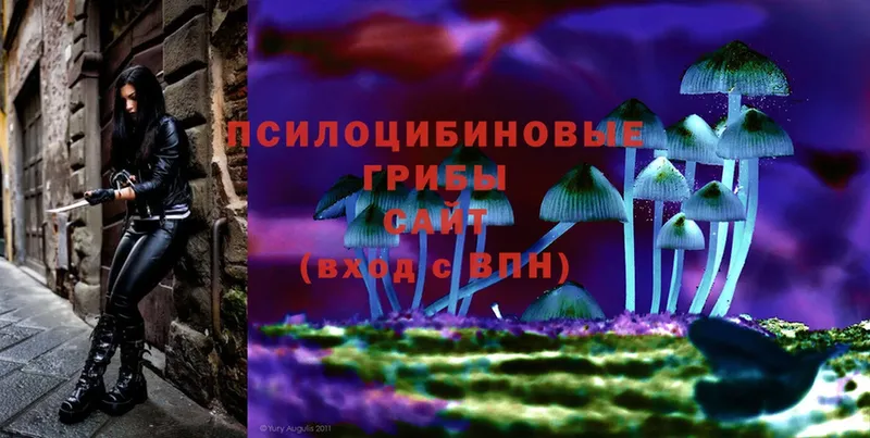 цена   Невельск  Галлюциногенные грибы Psilocybe 